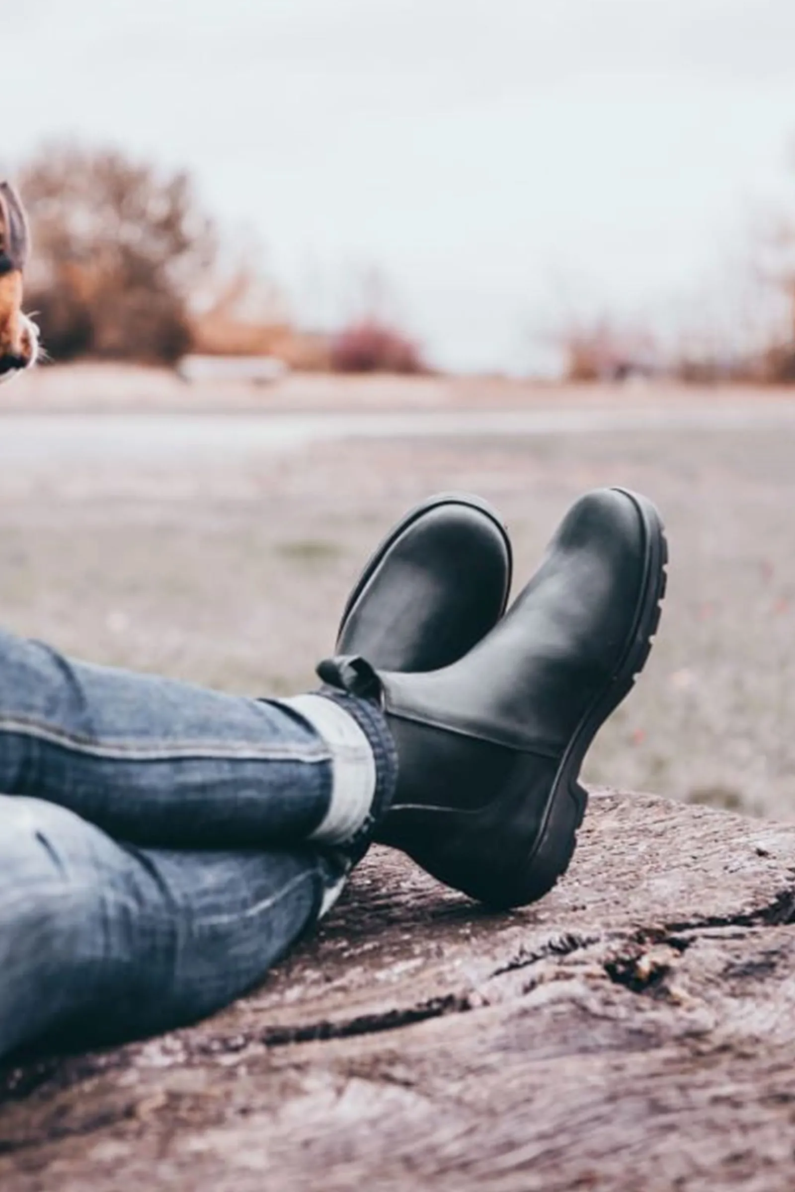 Suedwind Footwear 1888 Chelsea Jodhpur Boots* Reitstiefeletten