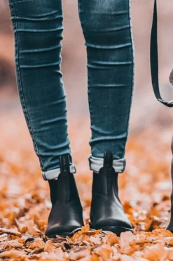 Suedwind Footwear 1888 Chelsea Jodhpur Boots* Reitstiefeletten