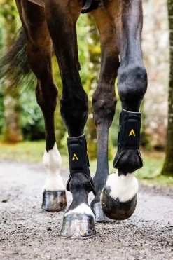 Horseware Adagio Gamaschen* Stall- & Transportgamaschen