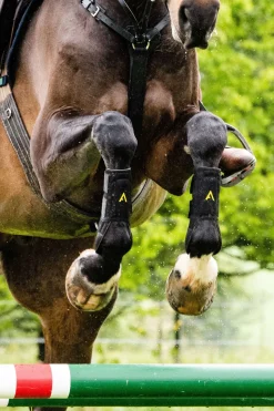 Horseware Adagio Gamaschen* Stall- & Transportgamaschen