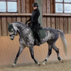 Horze Adepto Dressurschabracke* Dressurschabracken