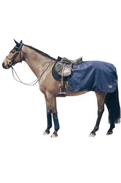 Kentucky Horsewear All Weather Nierendecke, 160g* Reit- & Nierendecken