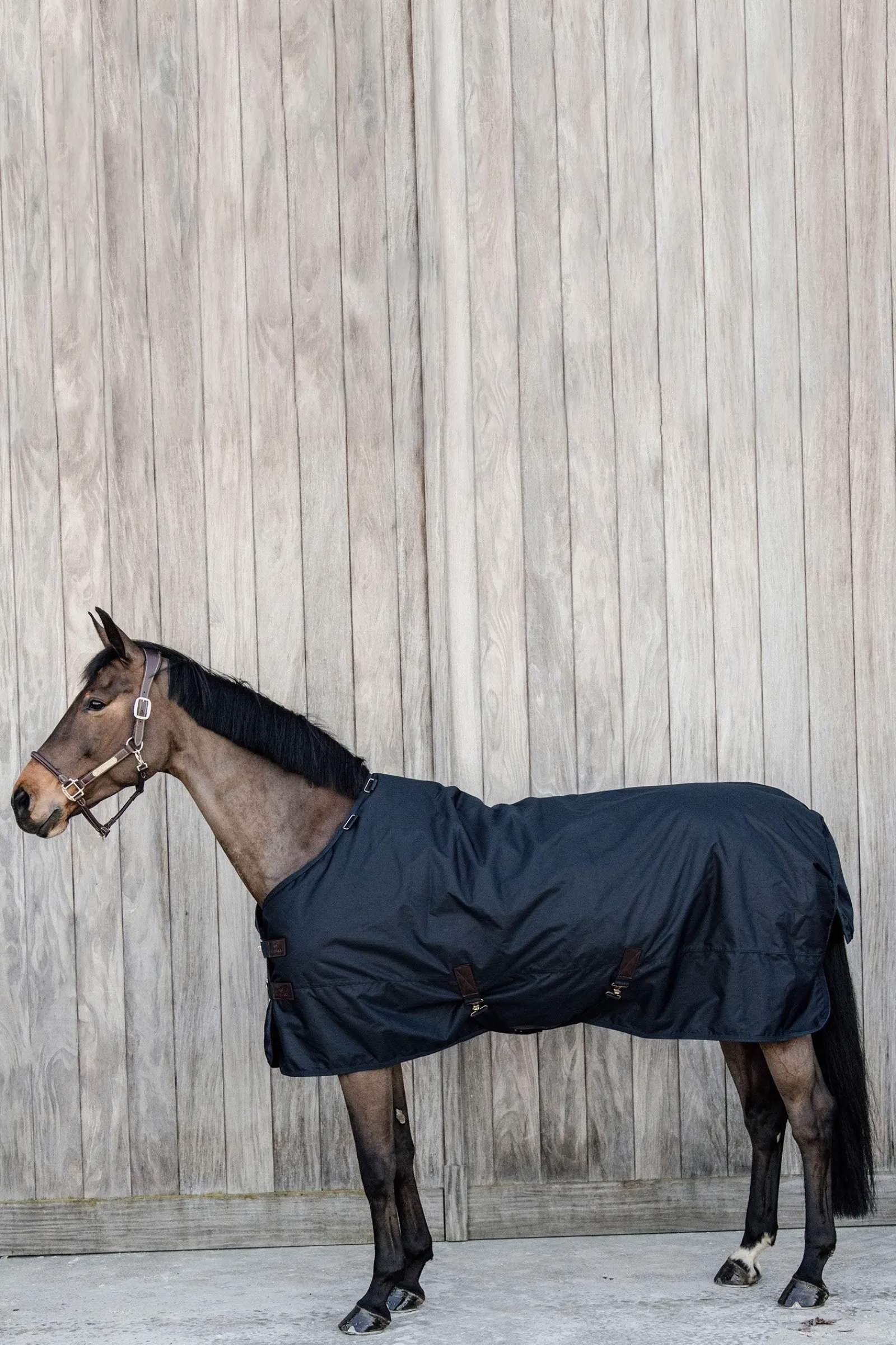 Kentucky Horsewear All Weather Waterproof Classic, Regendecke, 150g* Mittelschwere & Schwere Winterdecken