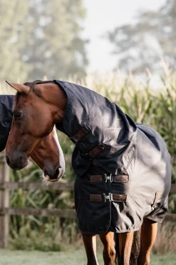Kentucky Horsewear All Weather Waterproof Classic, Regendecke, 150g* Mittelschwere & Schwere Winterdecken