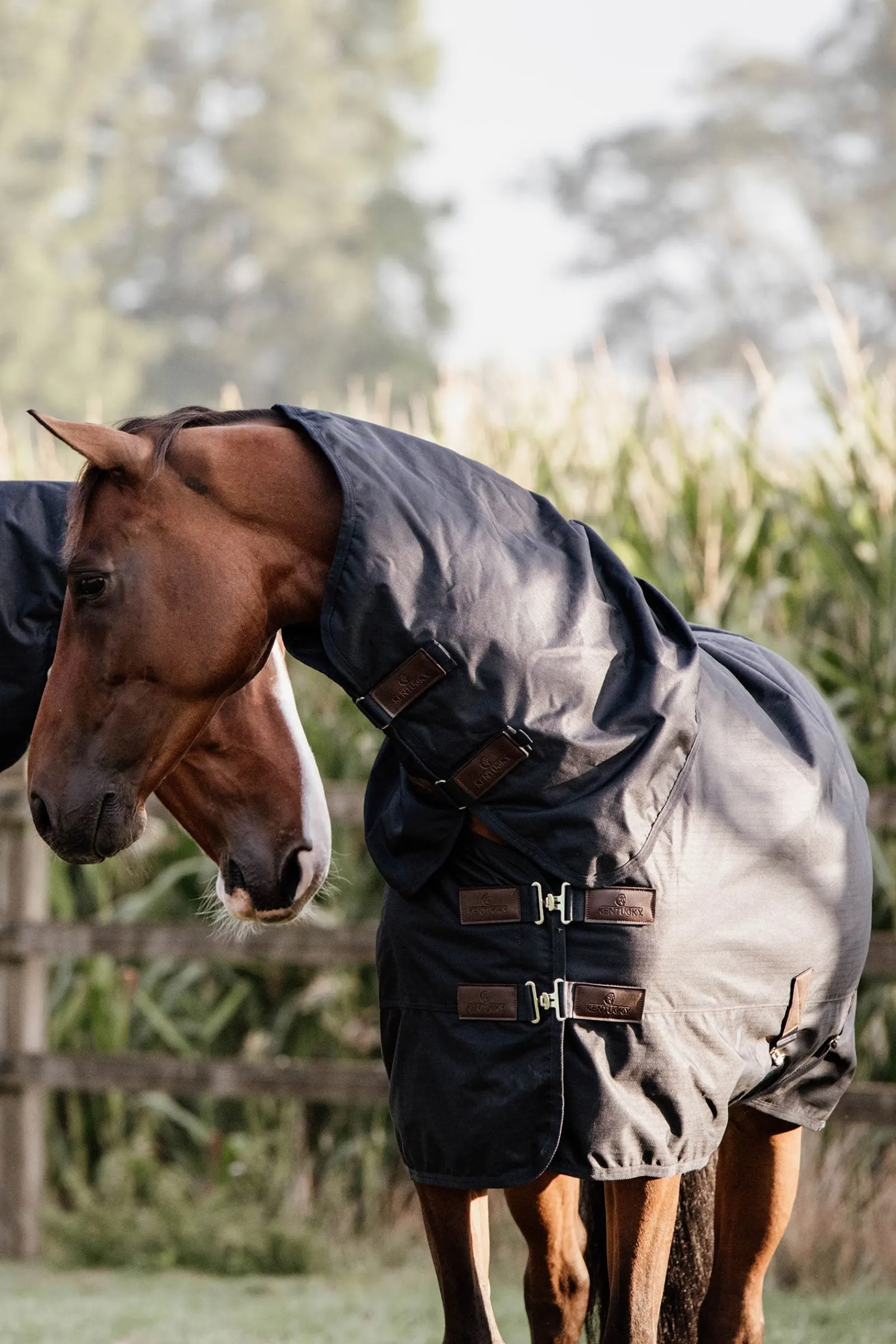 Kentucky Horsewear All Weather Waterproof Classic, Regendecke, 150g* Mittelschwere & Schwere Winterdecken