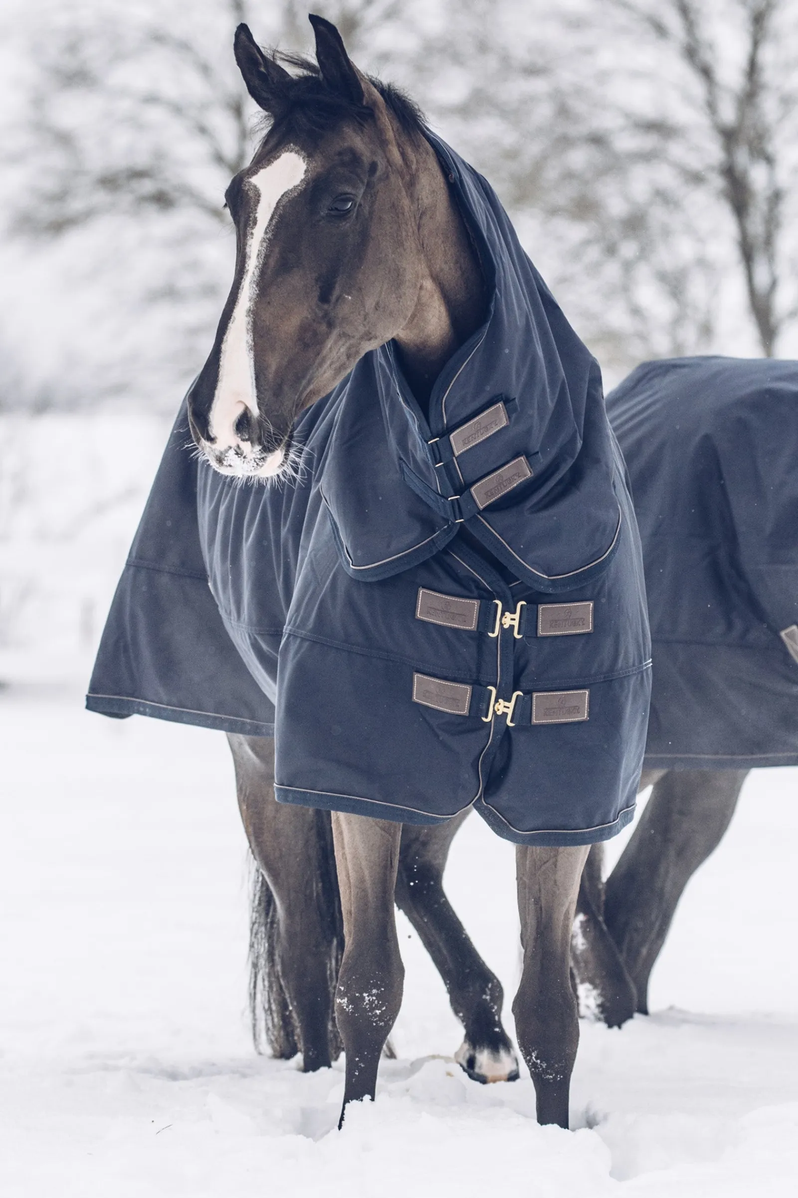 Kentucky Horsewear All Weather Waterproof Classic Winterdecke, 300g* Mittelschwere & Schwere Winterdecken