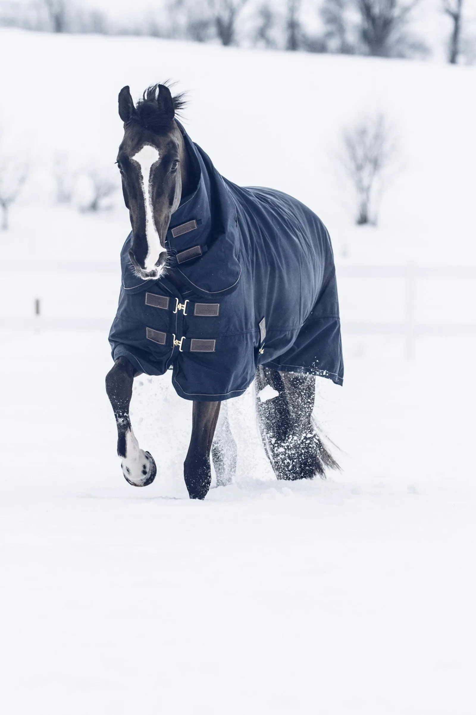 Kentucky Horsewear All Weather Waterproof Classic Winterdecke, 300g* Mittelschwere & Schwere Winterdecken