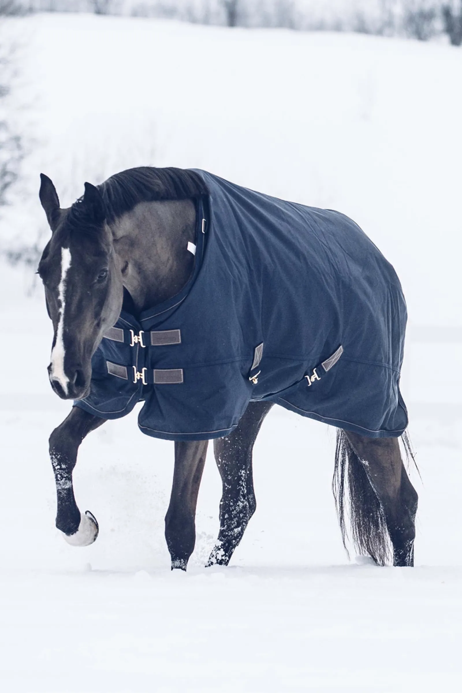 Kentucky Horsewear All Weather Waterproof Classic Winterdecke, 300g* Mittelschwere & Schwere Winterdecken