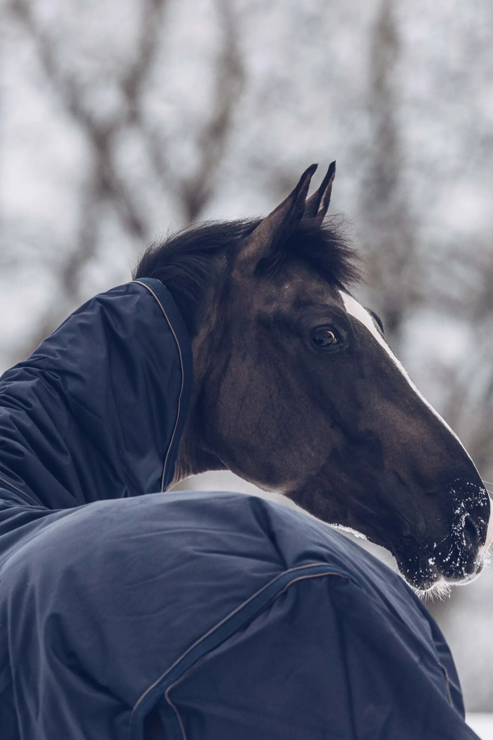 Kentucky Horsewear All Weather Waterproof Classic Winterdecke, 300g* Mittelschwere & Schwere Winterdecken