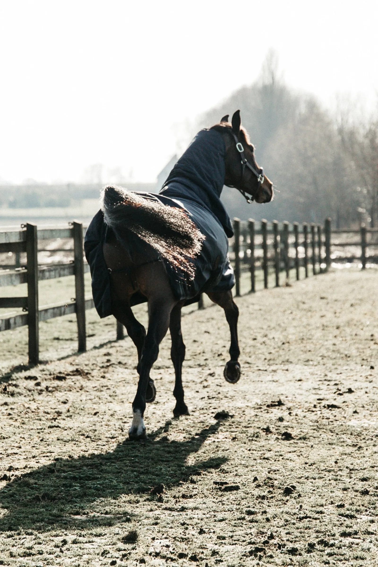 Kentucky Horsewear All Weather Waterproof Classic Regendecke, 50g* Leichte Weidedecken