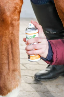 Stiefel Alu Spray* Stallapotheke|Sonstige Therapie- & Massageartikel