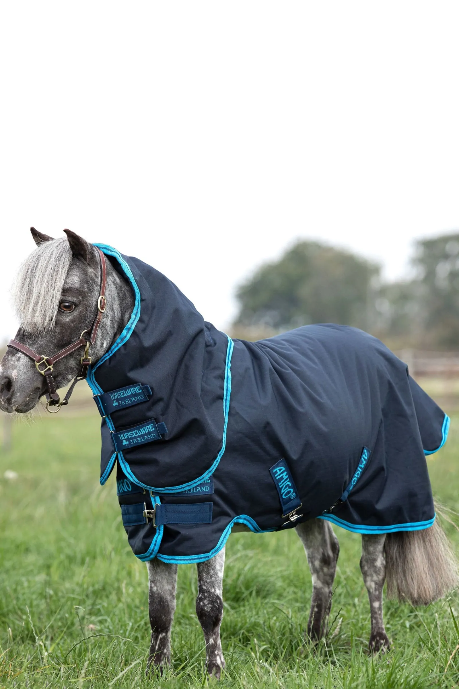 Horseware Amigo 6 Petite Plus Weidedecke inkl. abnehmbarem Halsteil, 200g* Mittelschwere & Schwere Winterdecken