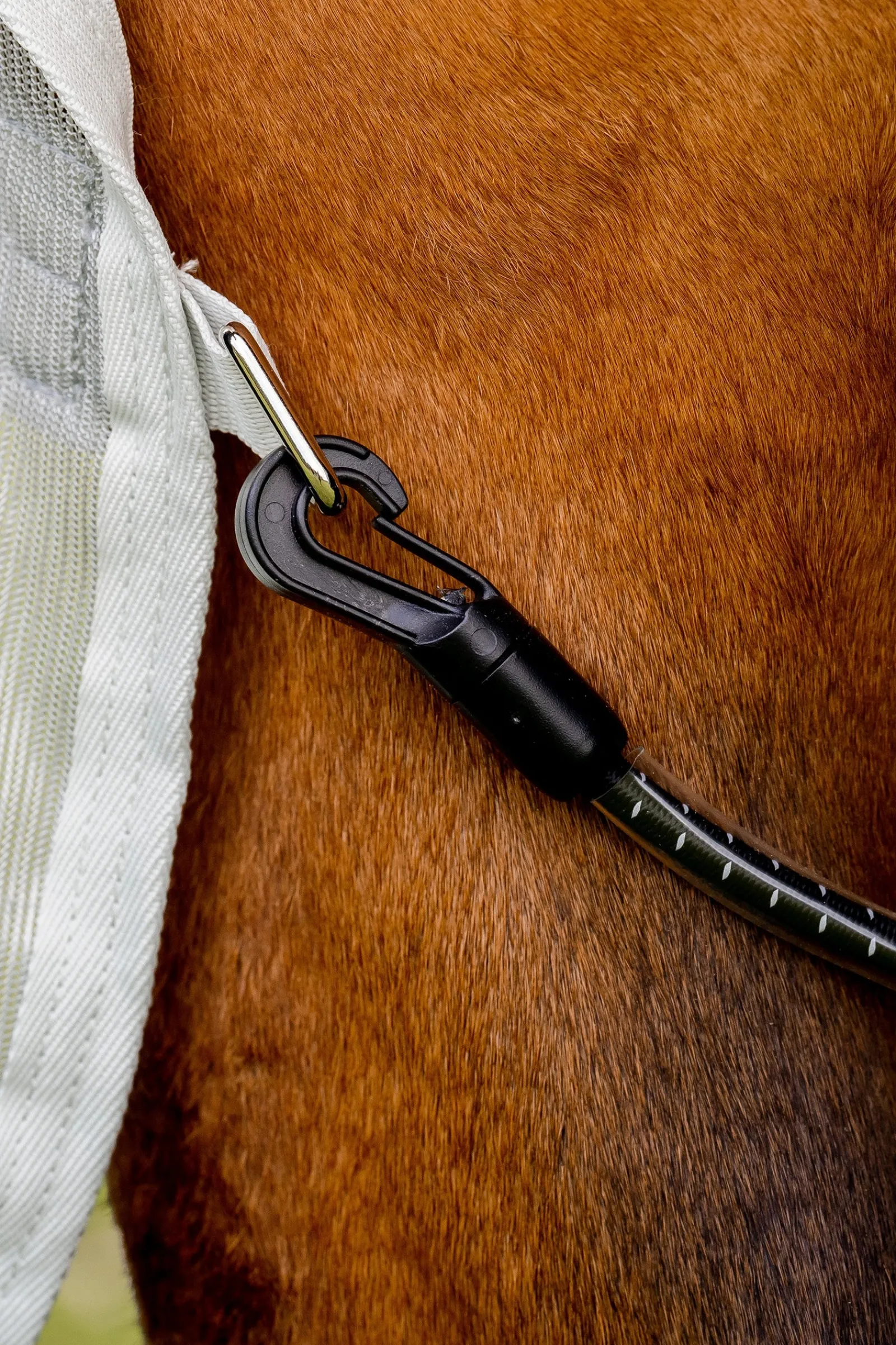 Horseware Amigo AmEco Combi Fliegendecke* Fliegendecken
