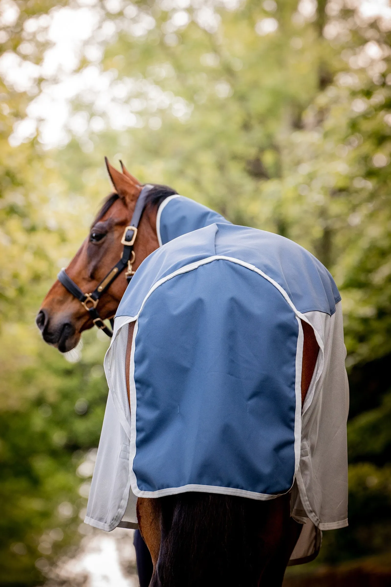Horseware Amigo AmEco Combi Fliegendecke* Fliegendecken