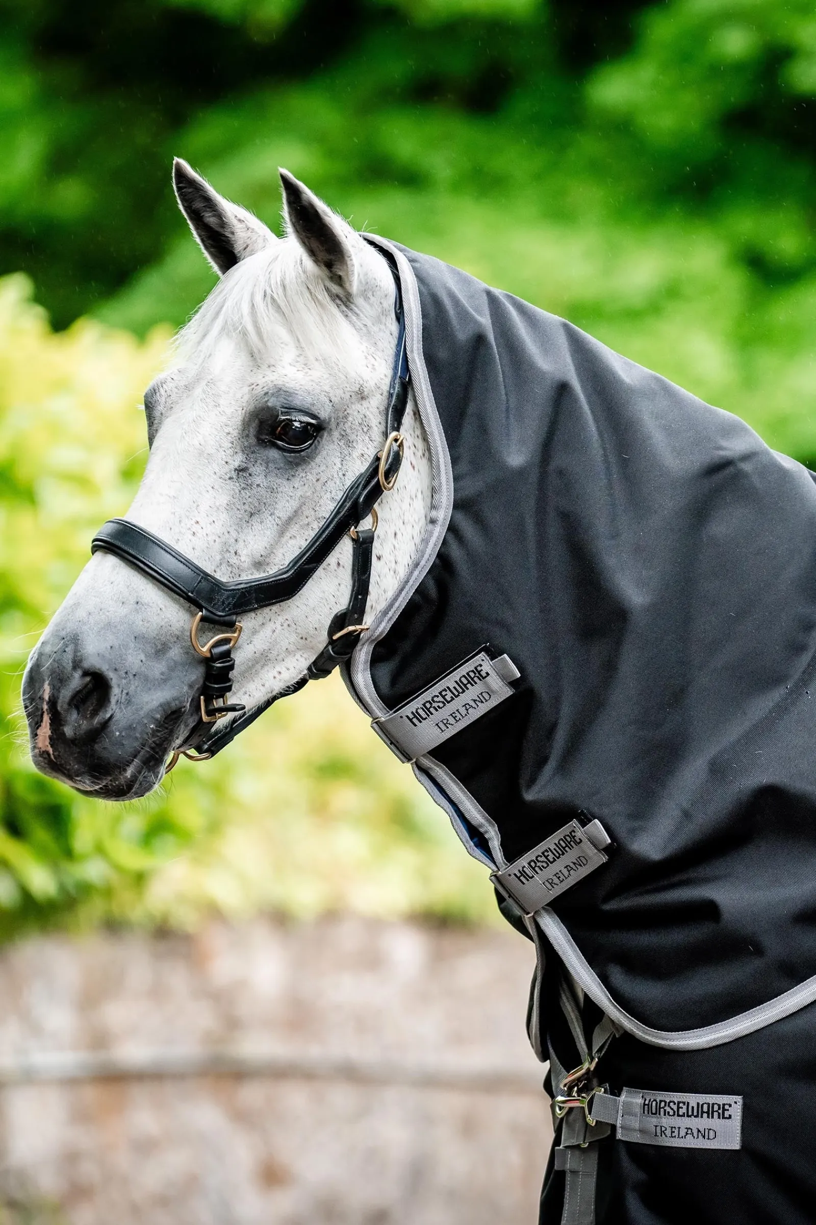 Horseware Amigo Bravo 12 Plus 100g* Leichte Weidedecken