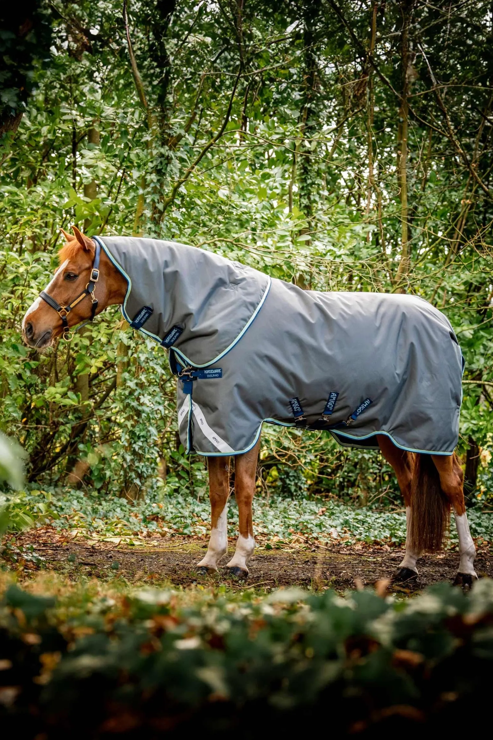 Horseware Amigo Bravo 12 Plus Weidedecke mit abnehmbarem Hals, 400g* Mittelschwere & Schwere Winterdecken