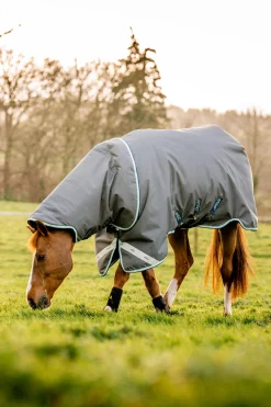 Horseware Amigo Bravo 12 Plus Weidedecke mit abnehmbarem Hals, 400g* Mittelschwere & Schwere Winterdecken