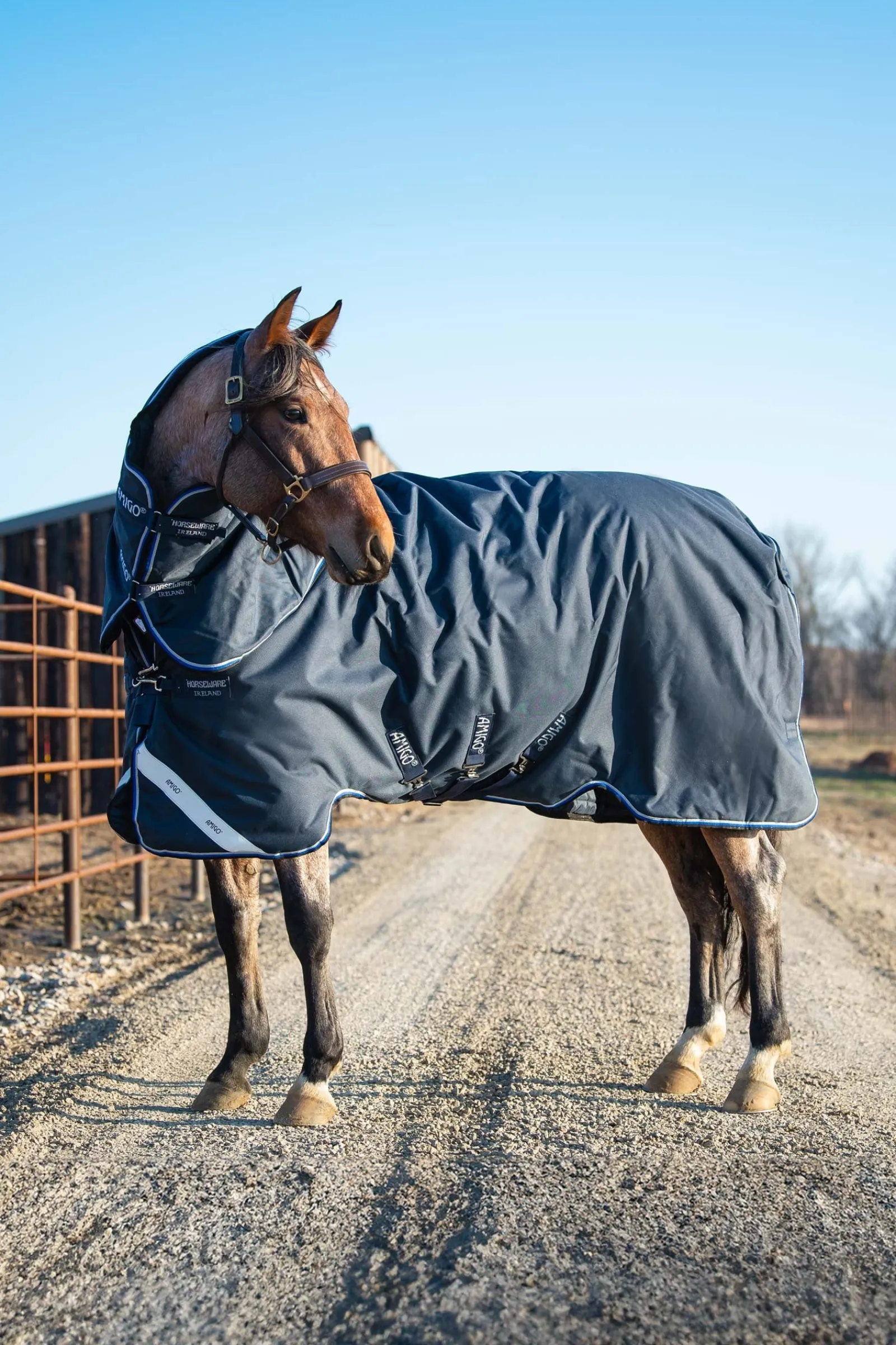 Horseware Amigo Bravo 12 Plus Weidedecke mit abnehmbarem Hals, 400g* Mittelschwere & Schwere Winterdecken