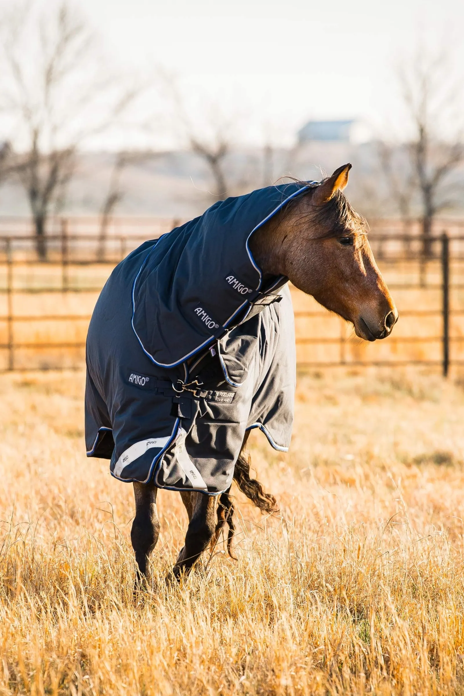 Horseware Amigo Bravo 12 Plus Weidedecke mit abnehmbarem Hals, 400g* Mittelschwere & Schwere Winterdecken