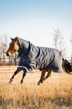 Horseware Amigo Bravo 12 Plus Weidedecke mit abnehmbarem Hals, 400g* Mittelschwere & Schwere Winterdecken