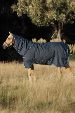 Horseware Amigo Bravo 12 Plus Weidedecke mit abnehmbarem Hals, 400g* Mittelschwere & Schwere Winterdecken