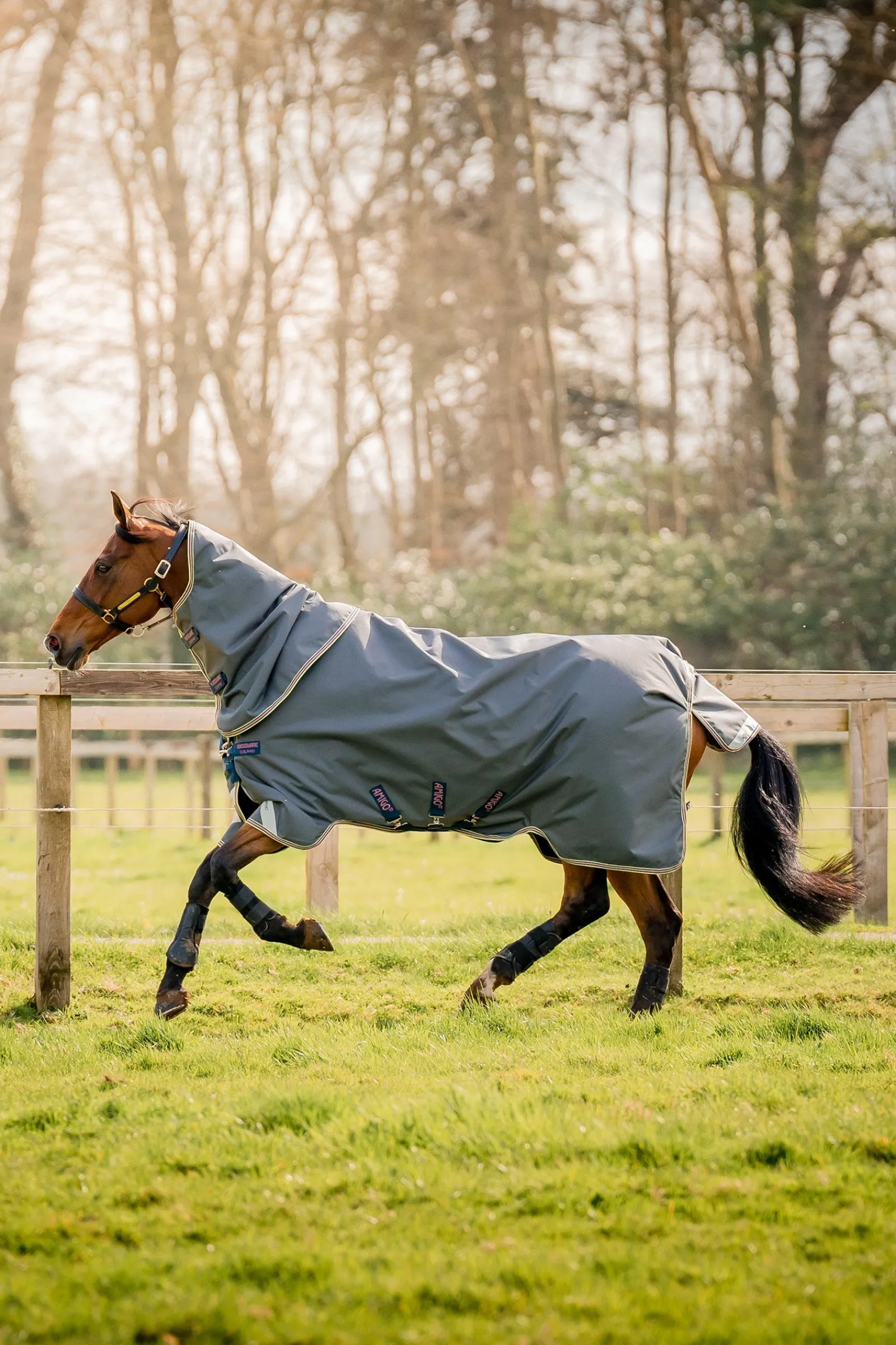 Horseware Amigo Bravo 12 Plus Weidedecke mit abnehmbarem Halsteil, 0g* Leichte Weidedecken