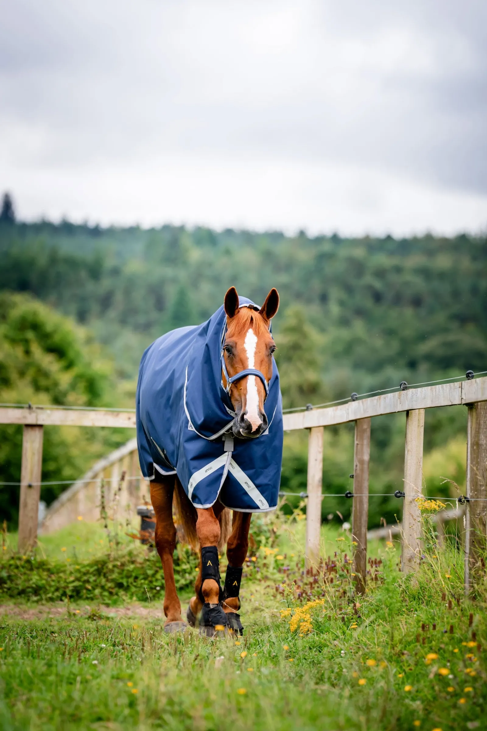 Horseware Amigo Bravo 12 Plus Weidedecke mit abnehmbarem Hals, 400g* Mittelschwere & Schwere Winterdecken