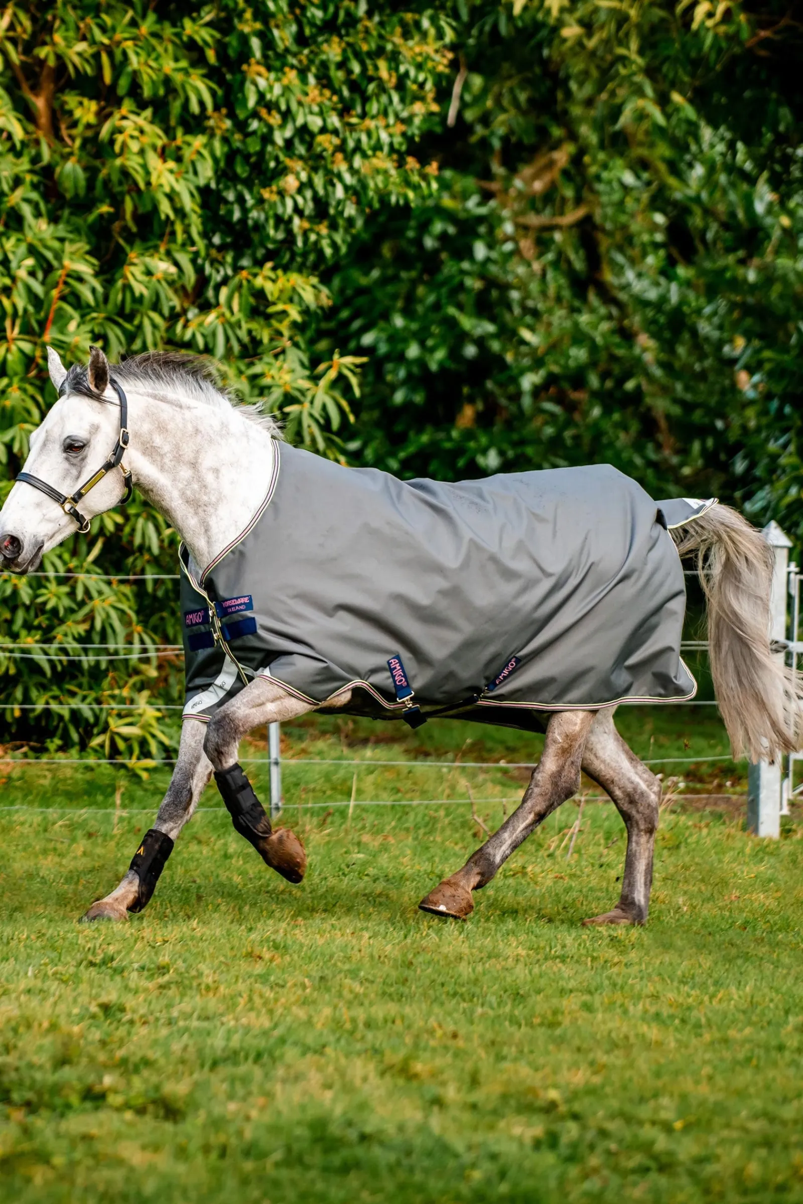 Horseware Amigo Bravo 12 Weidedecke, 0 g* Leichte Weidedecken