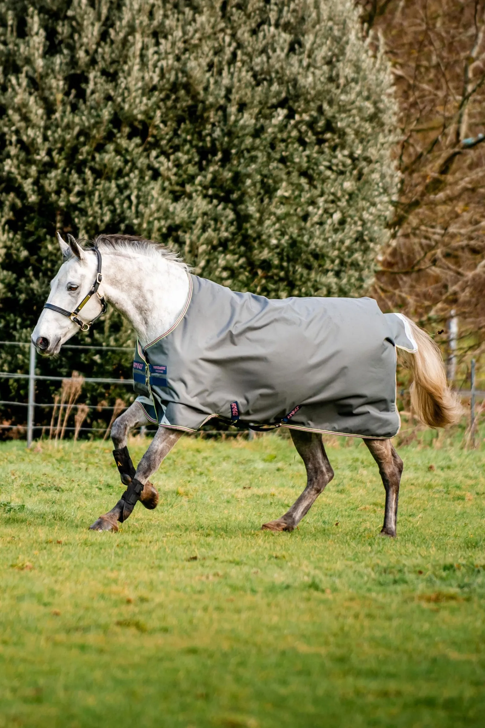 Horseware Amigo Bravo 12 Weidedecke, 0 g* Leichte Weidedecken