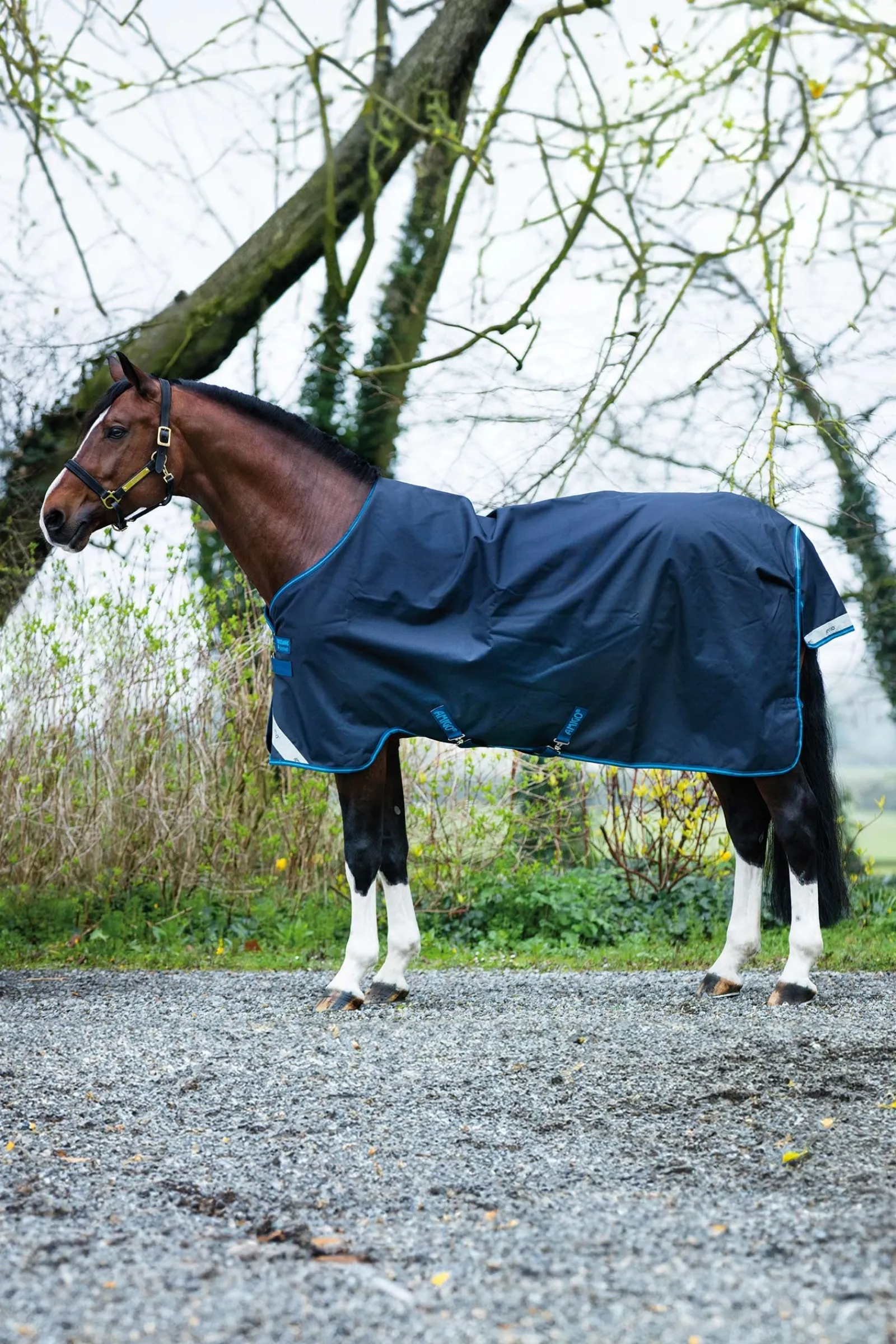 Horseware Amigo Bravo 12 Weidedecke, 100g* Leichte Weidedecken