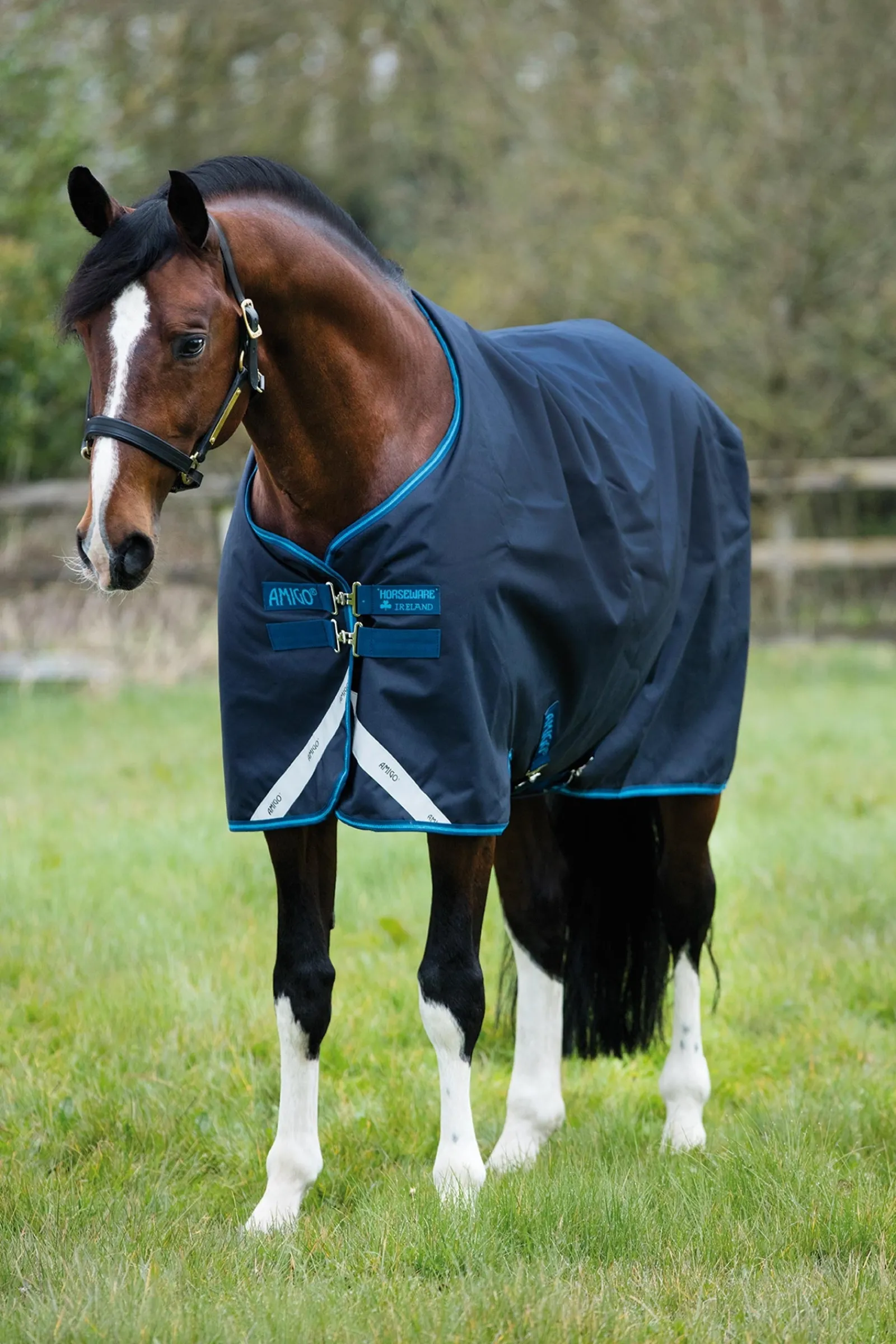 Horseware Amigo Bravo 12 Weidedecke, 100g* Leichte Weidedecken