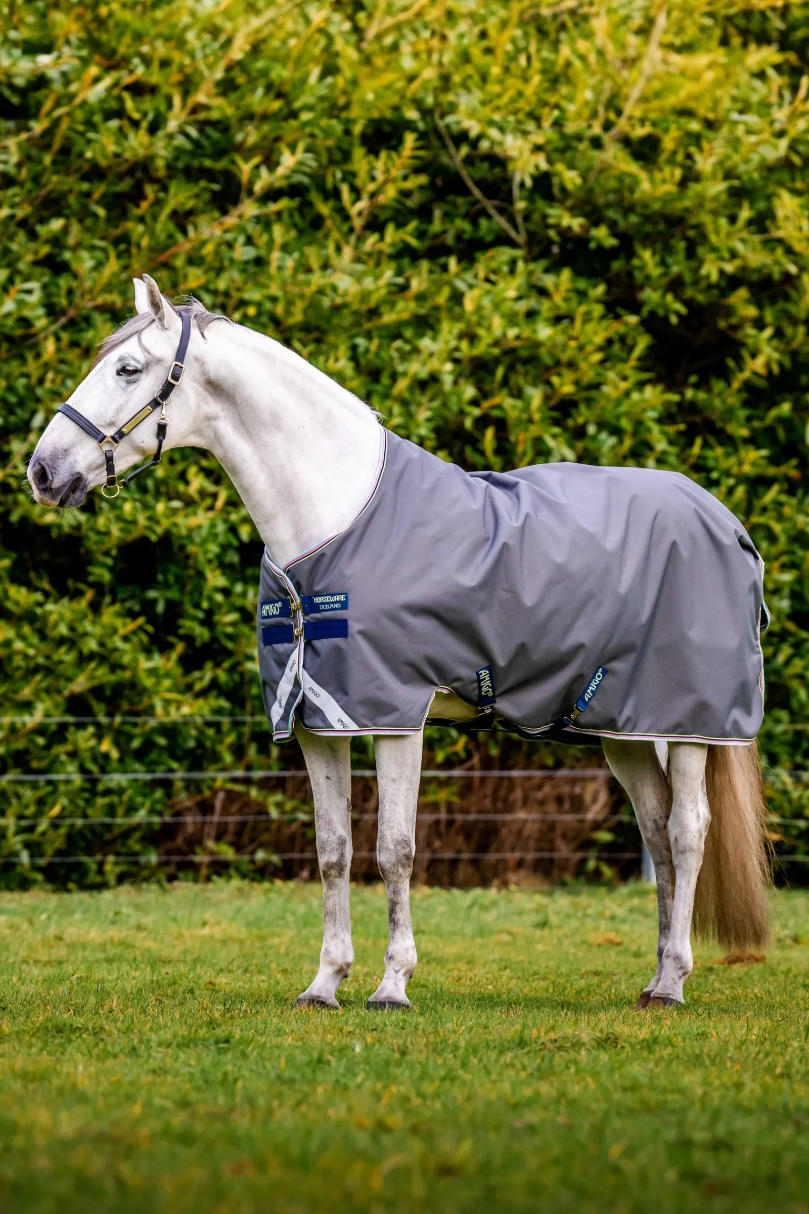 Horseware Amigo Bravo 12 Weidedecke, 100g* Leichte Weidedecken