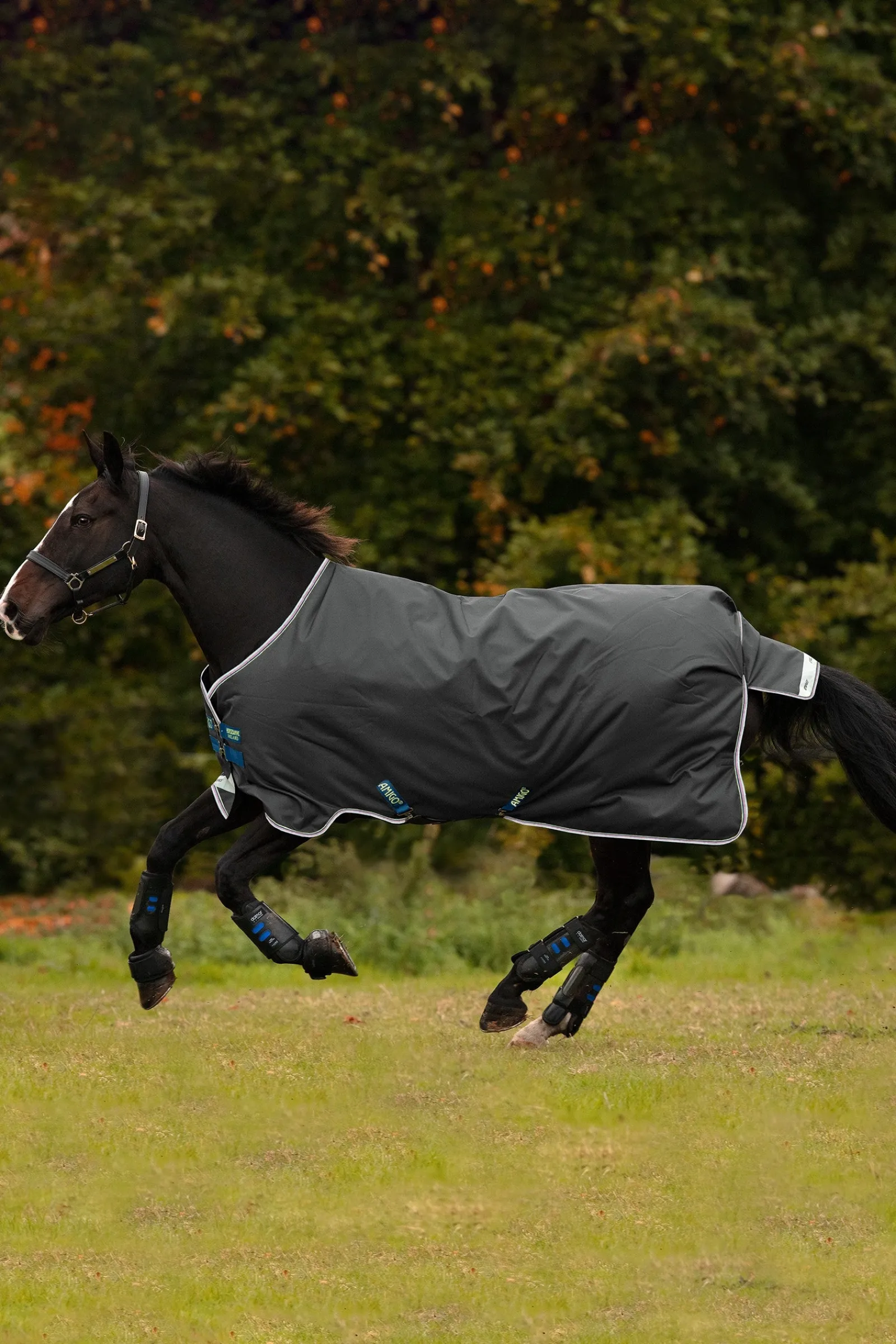 Horseware Amigo Bravo 12 Weidedecke, 100g* Leichte Weidedecken
