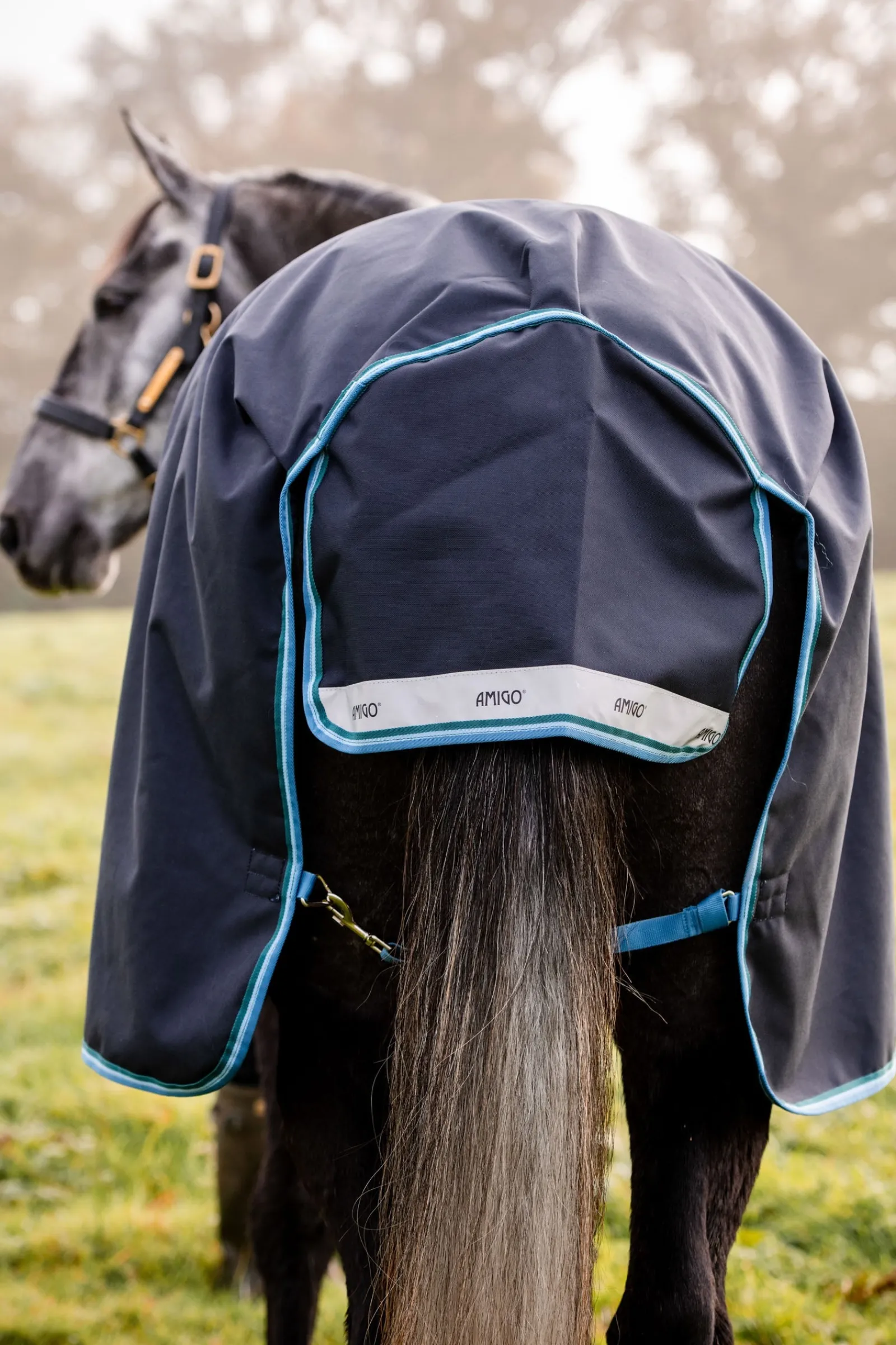 Horseware Amigo Bravo 12 Weidedecke, 100g* Leichte Weidedecken