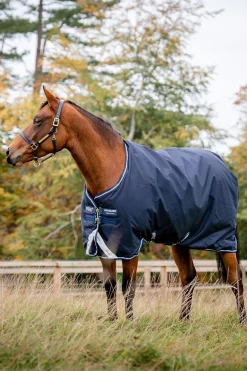 Horseware Amigo Bravo 12 Weidedecke, 250g* Mittelschwere & Schwere Winterdecken
