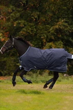 Horseware Amigo Bravo 12 Weidedecke, 250g* Mittelschwere & Schwere Winterdecken