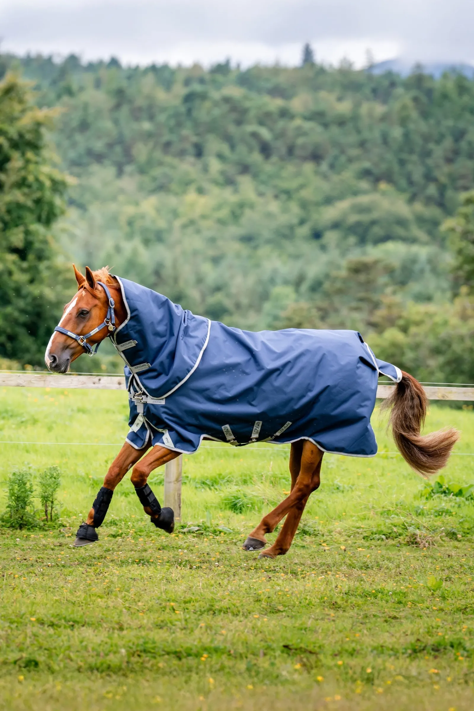 Horseware Amigo 1200D Plus Outdoordecke, 50 g* Leichte Weidedecken