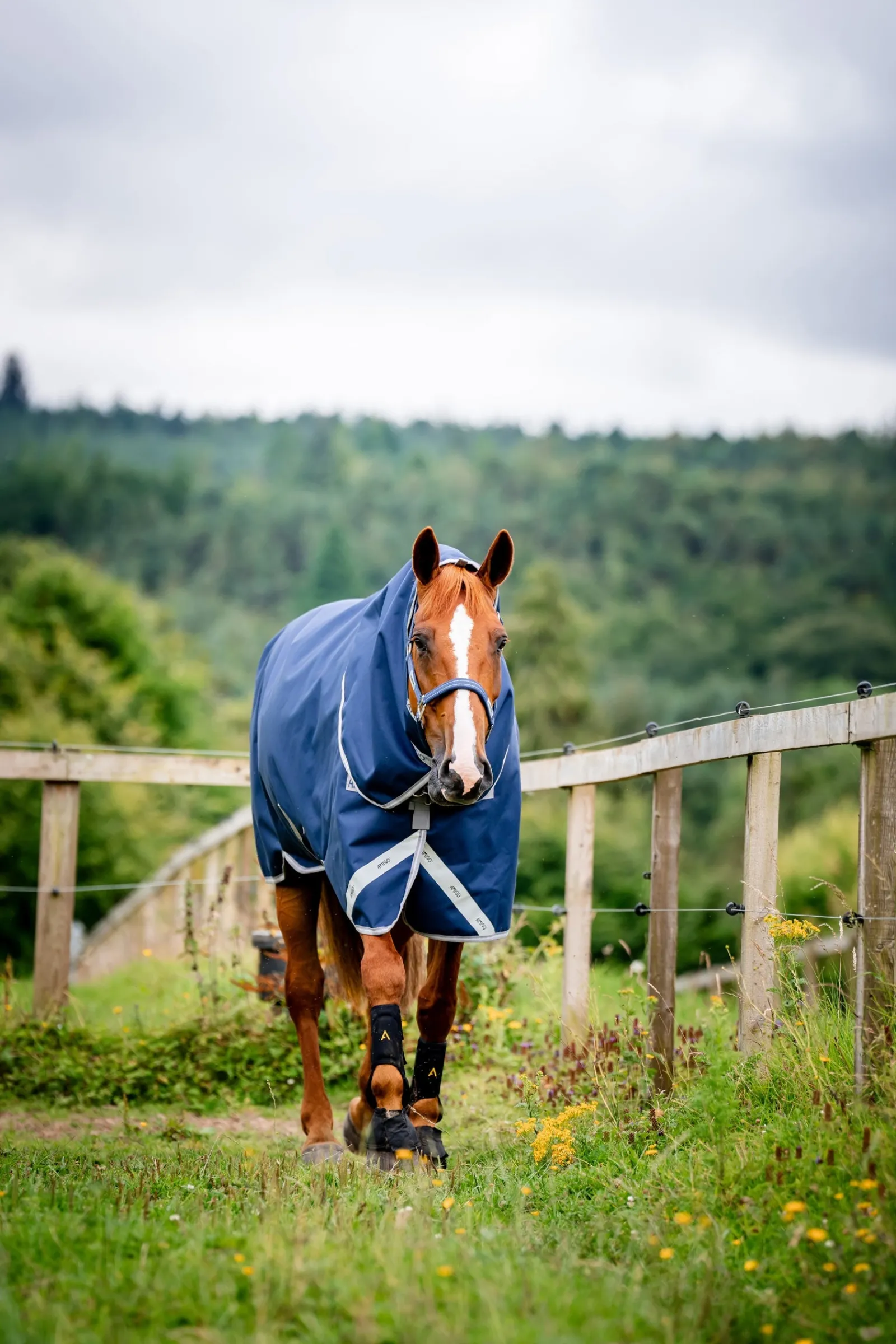 Horseware Amigo 1200D Plus Outdoordecke, 50 g* Leichte Weidedecken