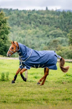Horseware Amigo 1200D Plus Outdoordecke, 250 g* Mittelschwere & Schwere Winterdecken