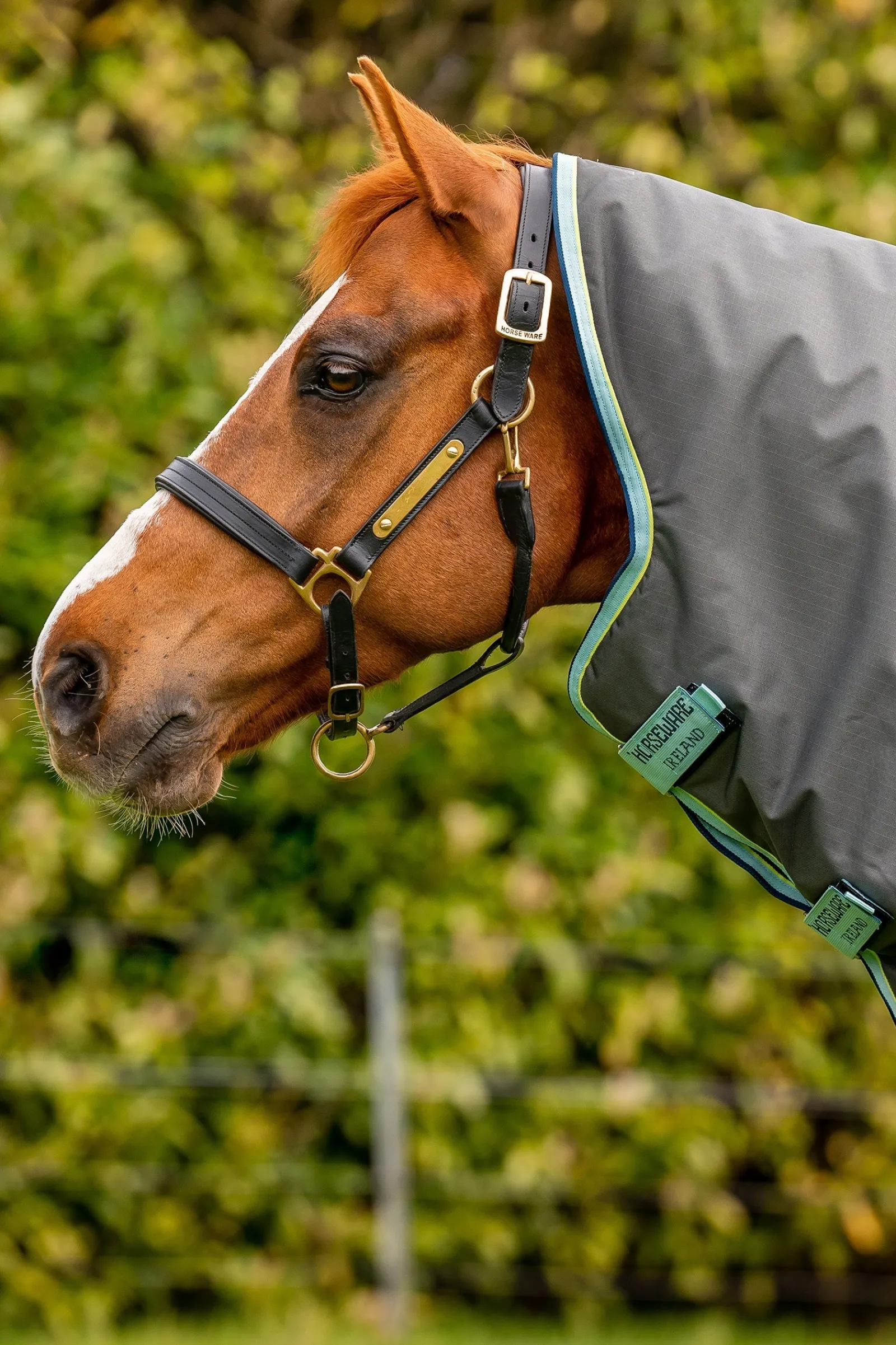 Horseware Amigo Hero Ripstop Plus Weidedecke mit abnehmbarem Hals, 200g* Mittelschwere & Schwere Winterdecken