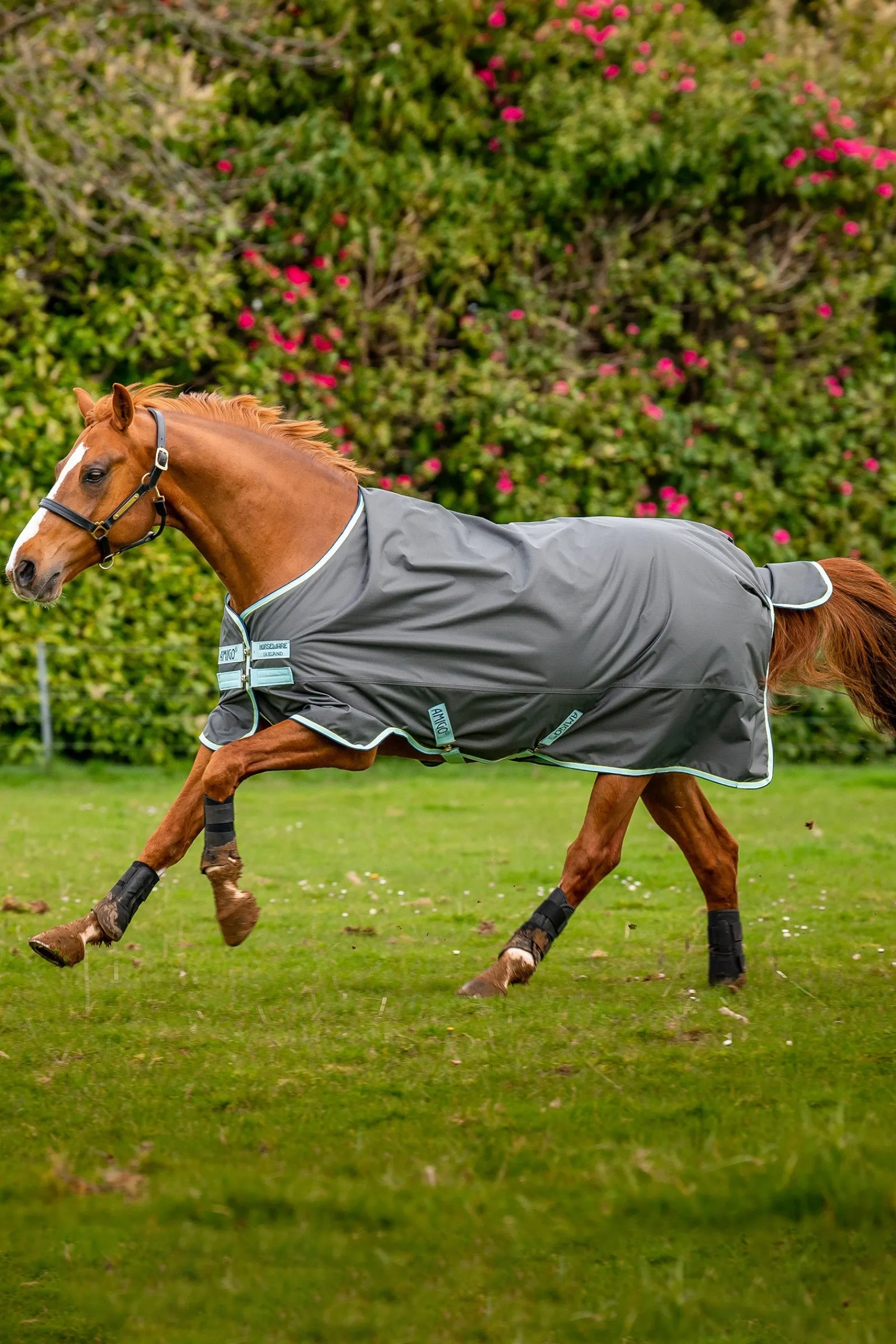 Horseware Amigo Hero Ripstop Weidedecke mit Fleecefutter, 50g* Leichte Weidedecken