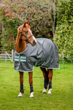 Horseware Amigo Hero Ripstop Weidedecke mit Fleecefutter, 50g* Leichte Weidedecken