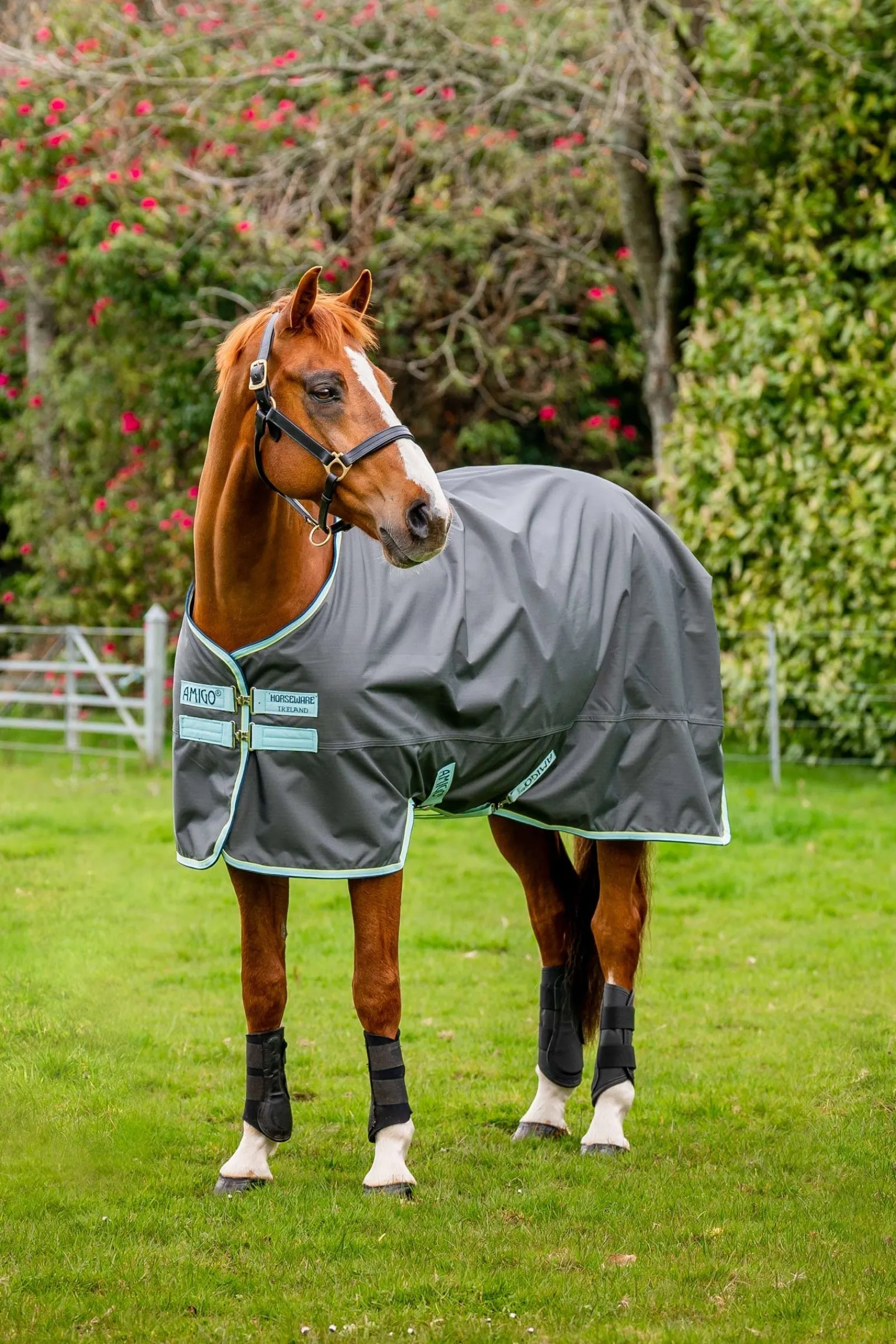 Horseware Amigo Hero Ripstop Weidedecke mit Fleecefutter, 50g* Leichte Weidedecken