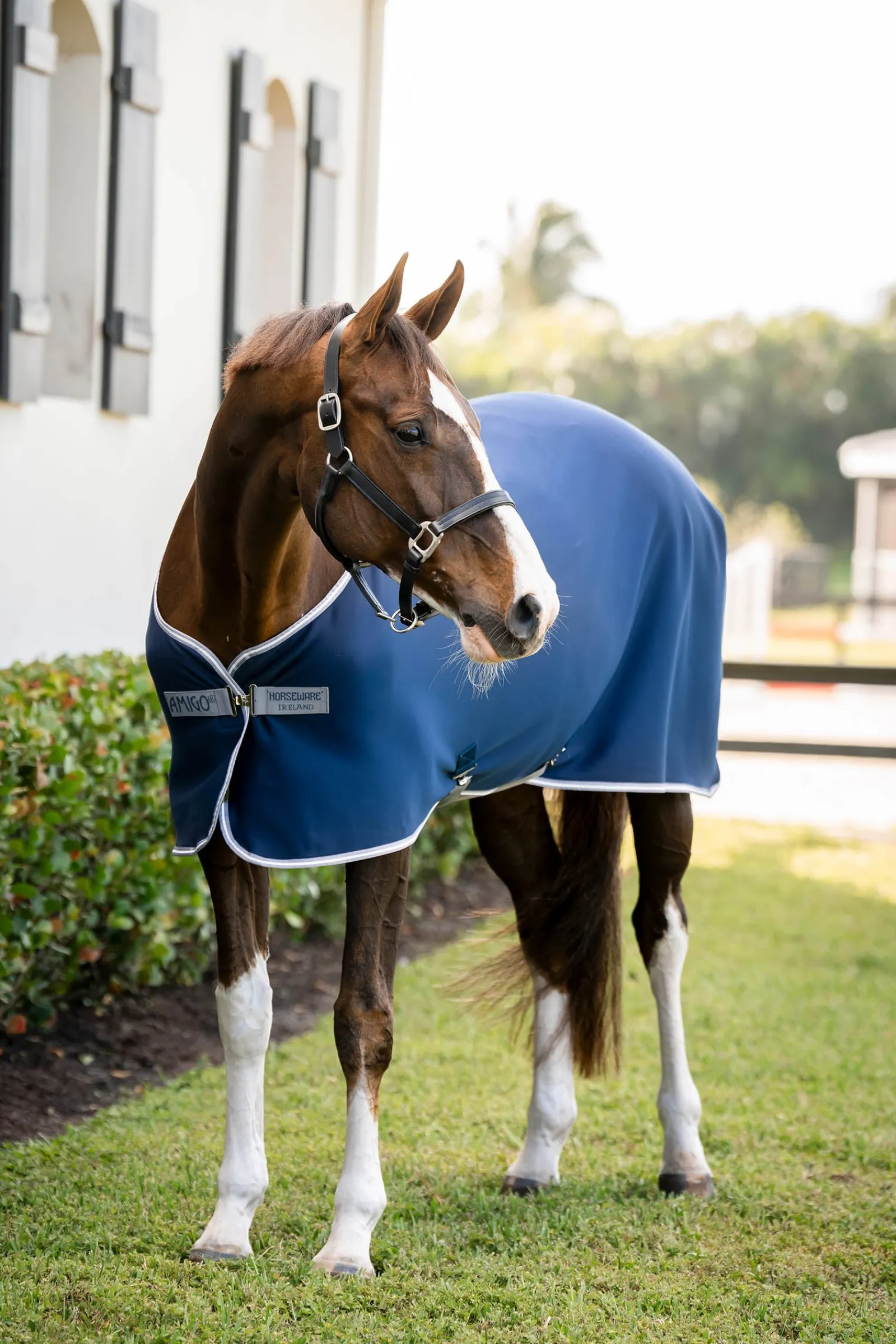 Horseware Amigo Jersey Cooler Abschwitzdecke* Abschwitzdecken