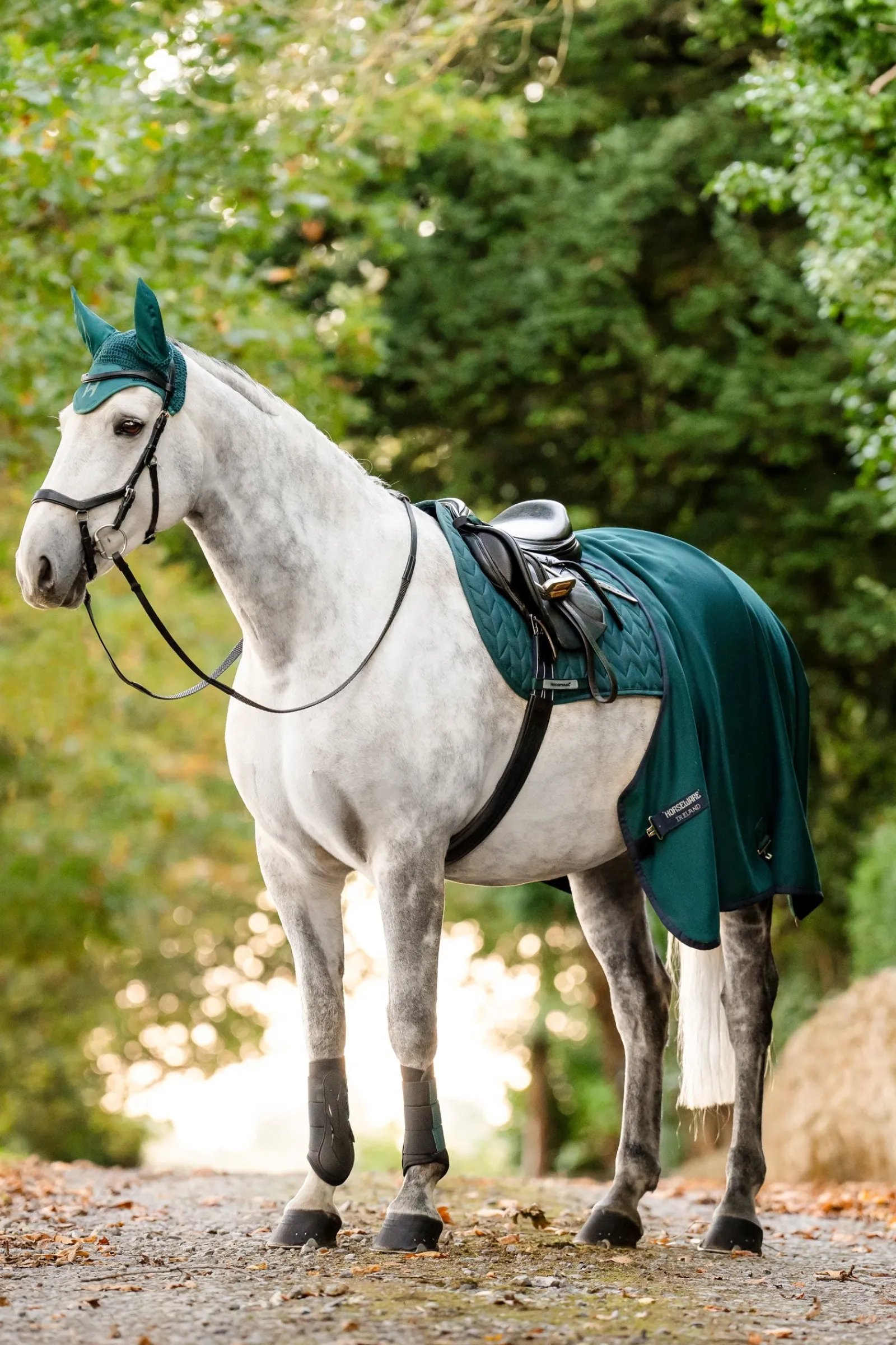 Horseware Amigo Jersey Cooler Abschwitzdecke* Abschwitzdecken
