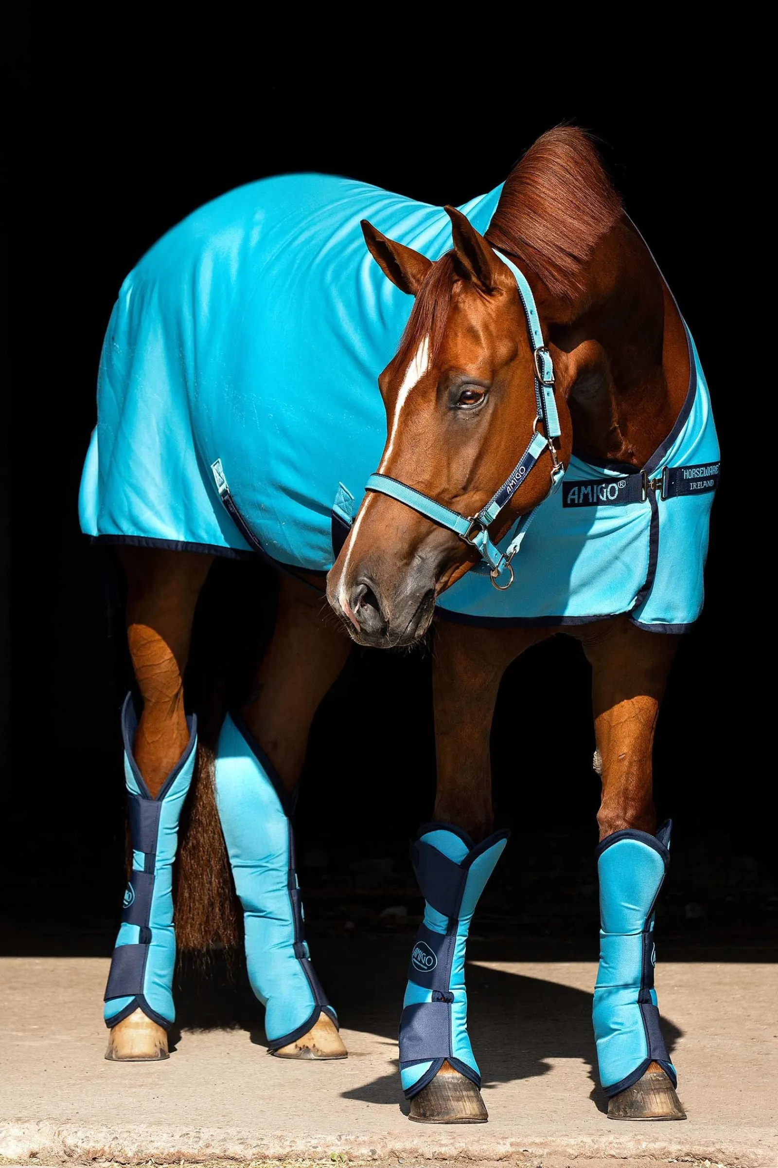 Horseware Amigo Jersey Cooler Abschwitzdecke* Abschwitzdecken