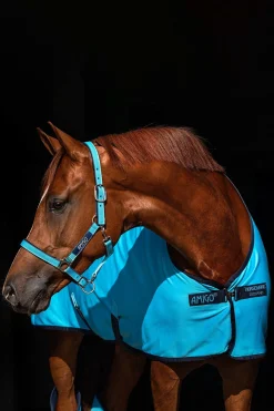 Horseware Amigo Jersey Cooler Abschwitzdecke* Abschwitzdecken