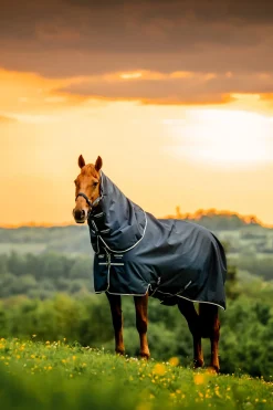 Horseware Amigo Ripstop 900D Plus Outdoordecke, 200 g* Mittelschwere & Schwere Winterdecken