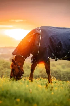 Horseware Amigo Ripstop 900D Plus Outdoordecke, 200 g* Mittelschwere & Schwere Winterdecken