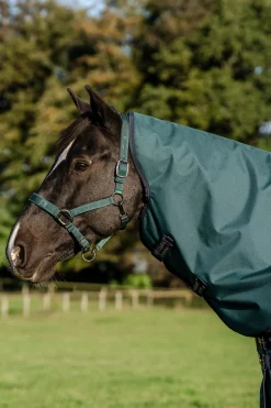 Horseware Amigo Ripstop 900D Plus Outdoordecke für Ponys, 100 g* Ponydecken|Ponydecken
